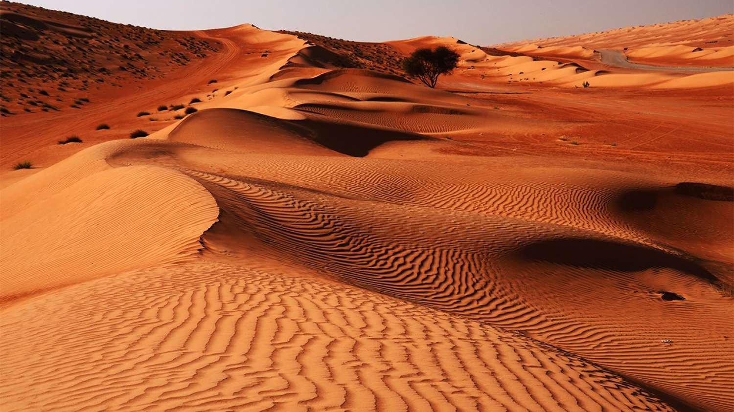 1110-Oman-deserto-e-castelli_giorno04_wahiba_1280x720_12.jpg